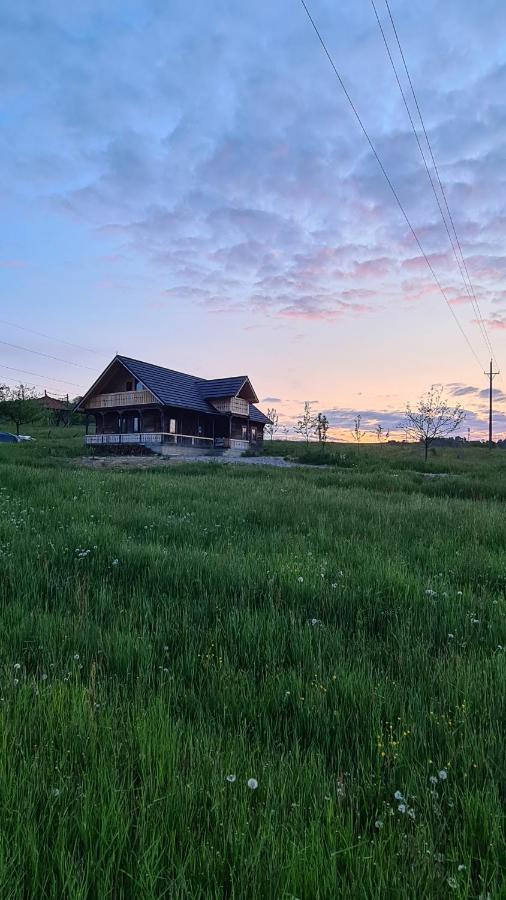 Casa Bunicilor Din Oncesti Villa ภายนอก รูปภาพ