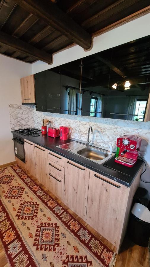 Casa Bunicilor Din Oncesti Villa ภายนอก รูปภาพ