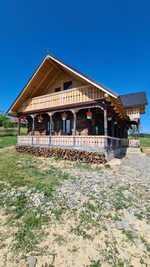 Casa Bunicilor Din Oncesti Villa ภายนอก รูปภาพ